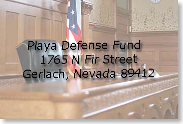 Playa Defense Fund - Financial & Legal Assistance